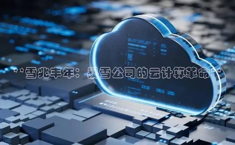 金年会哇咔哇咔文化**雪兆丰年：暴雪公司的云计算革命**
