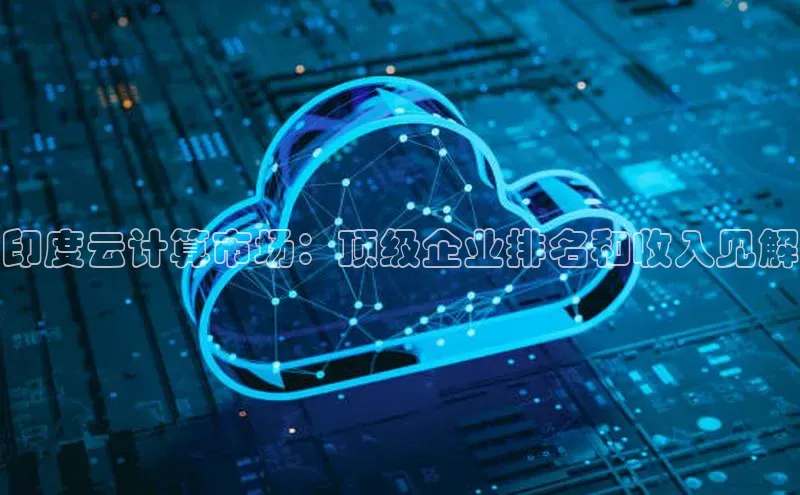 金年会诚信信誉至上百度网盘企业版印度云计算市场：顶级企业排名和收入见解