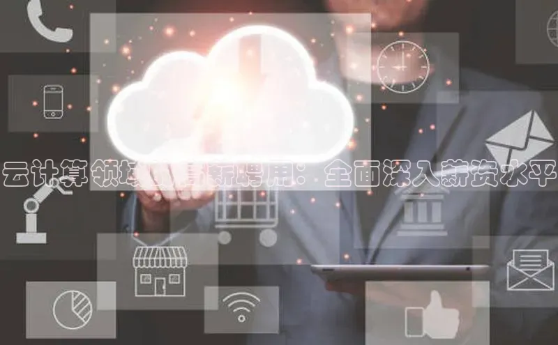 金年会电子游戏app华扬联众云计算领域的高薪聘用：全面深入薪资水平