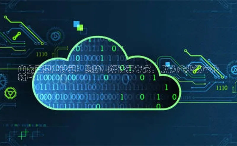 jinnian金年会官方网站入口阿里尔公司山东百灵云计算：您的云端计算专家， 助力企业数字化
转型