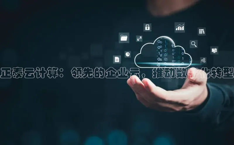 金年汇app官方网站下载安装颐驰 06正泰云计算：领先的企业云，推动数字化转型