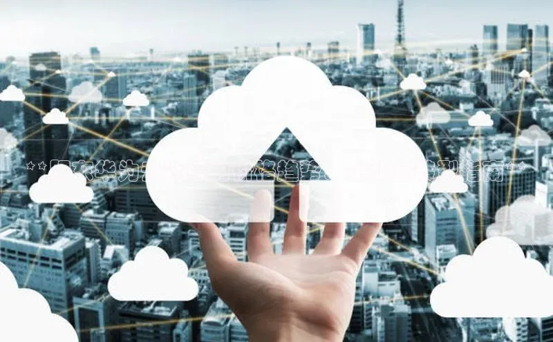 金年会金字招牌诚信至上|金年会首页赛富乐斯**肥东华为云计算的价格趋势：企业云转型指南**