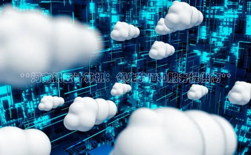 金年会棋牌同程**河南银云计算机：领先的IT和服务提供商**