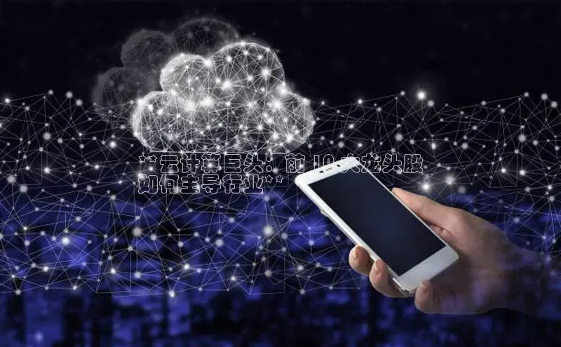 jinnianhui金年会百度手机助手**云计算巨头：前 10 大龙头股
如何主导行业**