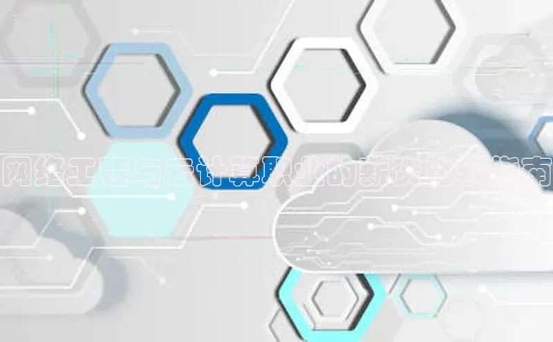 金年会金字招牌诚信至上龙年百度翻译App网络工程与云计算职业的薪资比较指南
