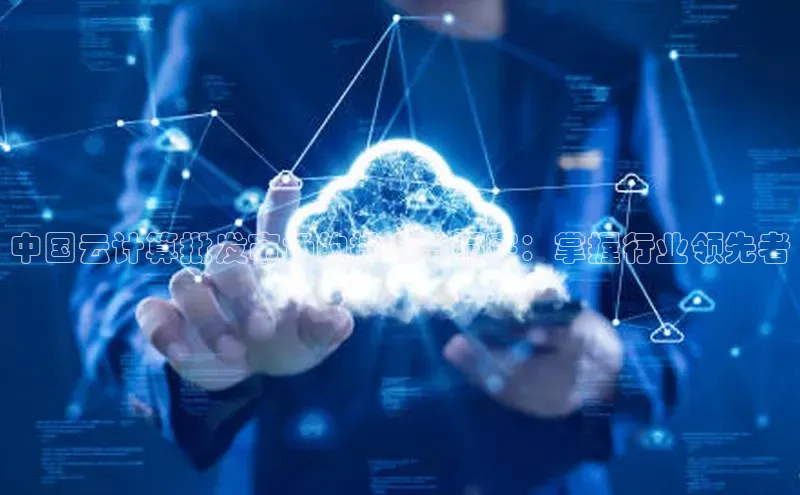 黄金城app最新版下载路畅科技中国云计算批发市场的排名与洞察：掌握行业领先者