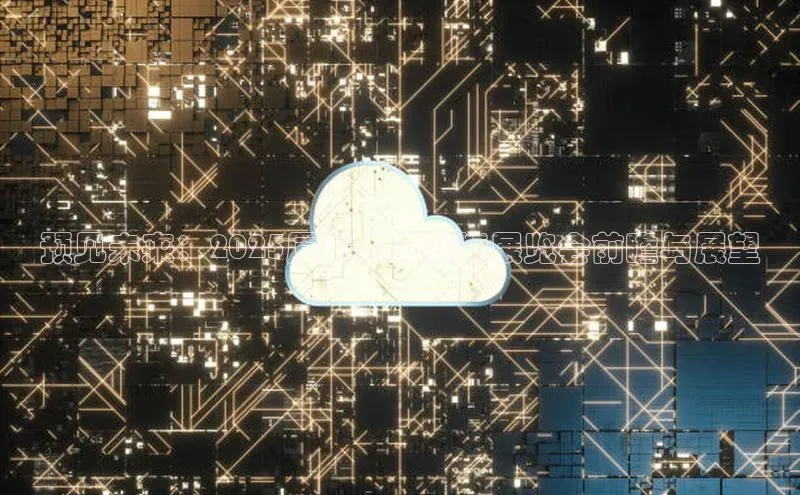 预见未来：2025厦门人工智能展览会前瞻与展望